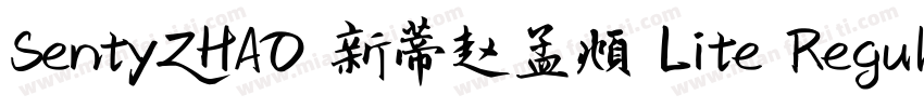 SentyZHAO 新蒂赵孟頫 Lite Regular字体转换